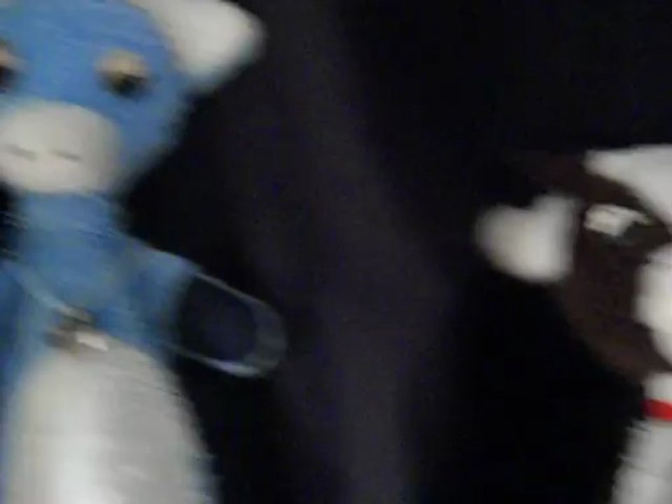 Nous sommes deux petites vaches.