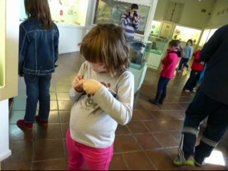 MUSEO ARQUEOLOGICO 2013