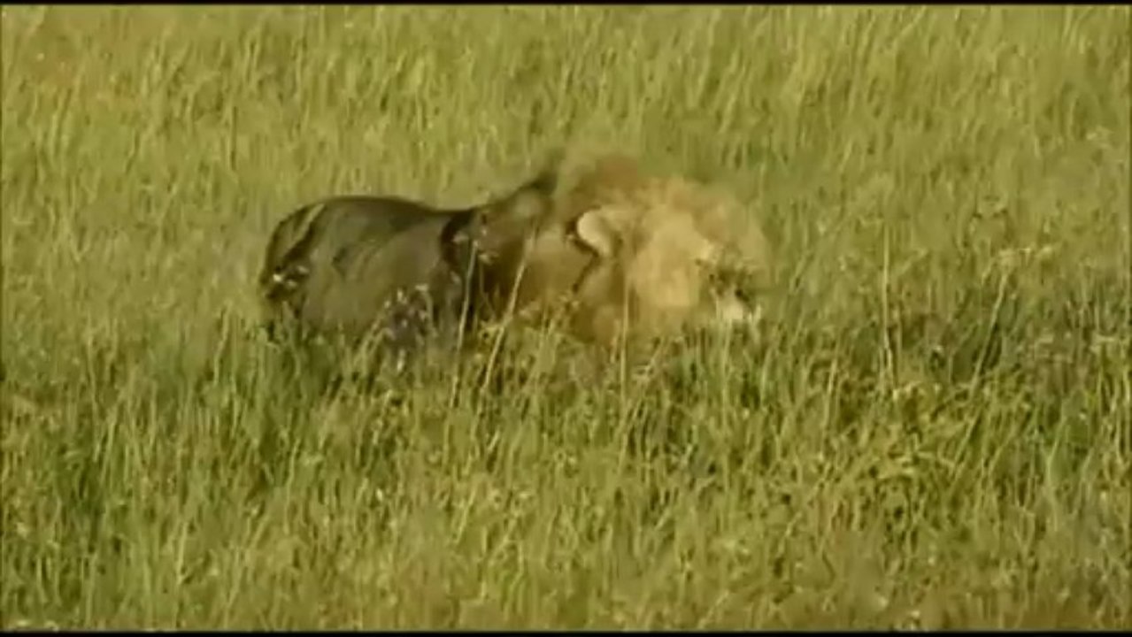 J'te jure chérie ...j'ai rien fait....