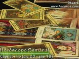 Horoscopo Capricornio 10 al 16 de febrero 2008