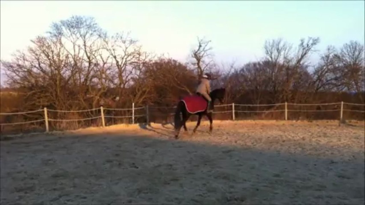 Saut