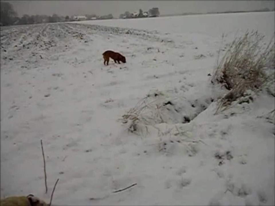 Jaimy & Neele im Schnee