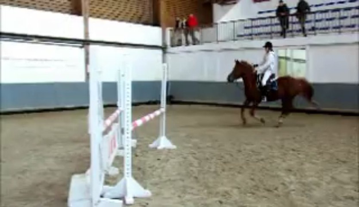 Mazeppa et Mathilde