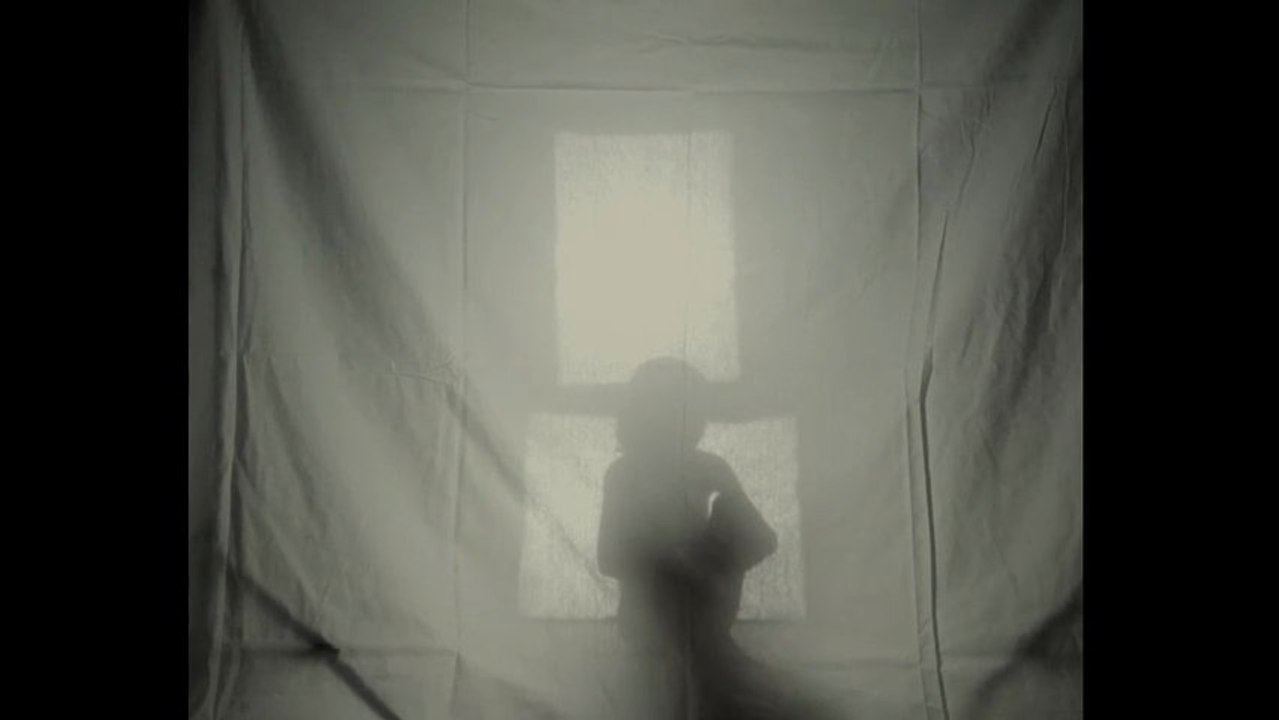 Débil sombra, débil frontera