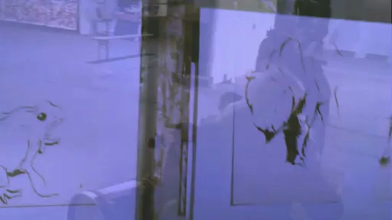 extrait expo 2013 semancerie