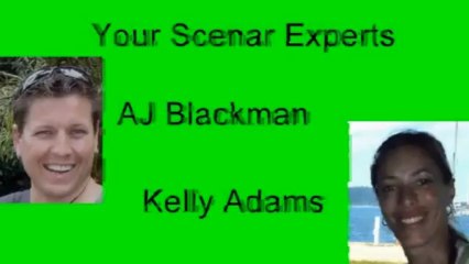 Scenar Relief Therapy, Your Quick Track To A Pain Free Life