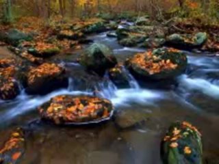 "ΜΗ ΑΠΟΣΤΡΕΨΗΣ" "ΧΑΛΙΝΟΥΣ ΑΠΟΠΤΥΣΑΣ"  ΧΑΤΖΗΜΑΡΚΟΣ ΜΑΝΩΛΗΣ