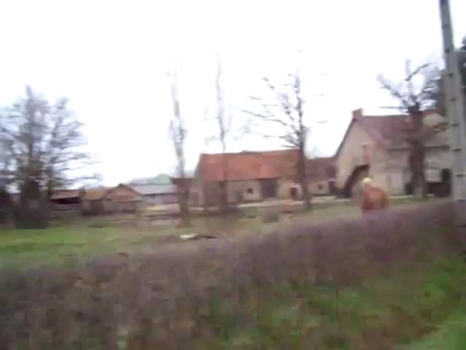 Beau peloton de Cyclos Touristes Nérisiens