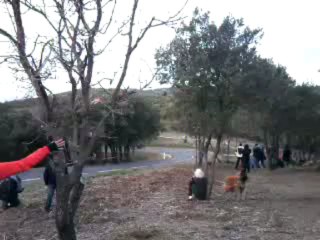 Vidéo0037
