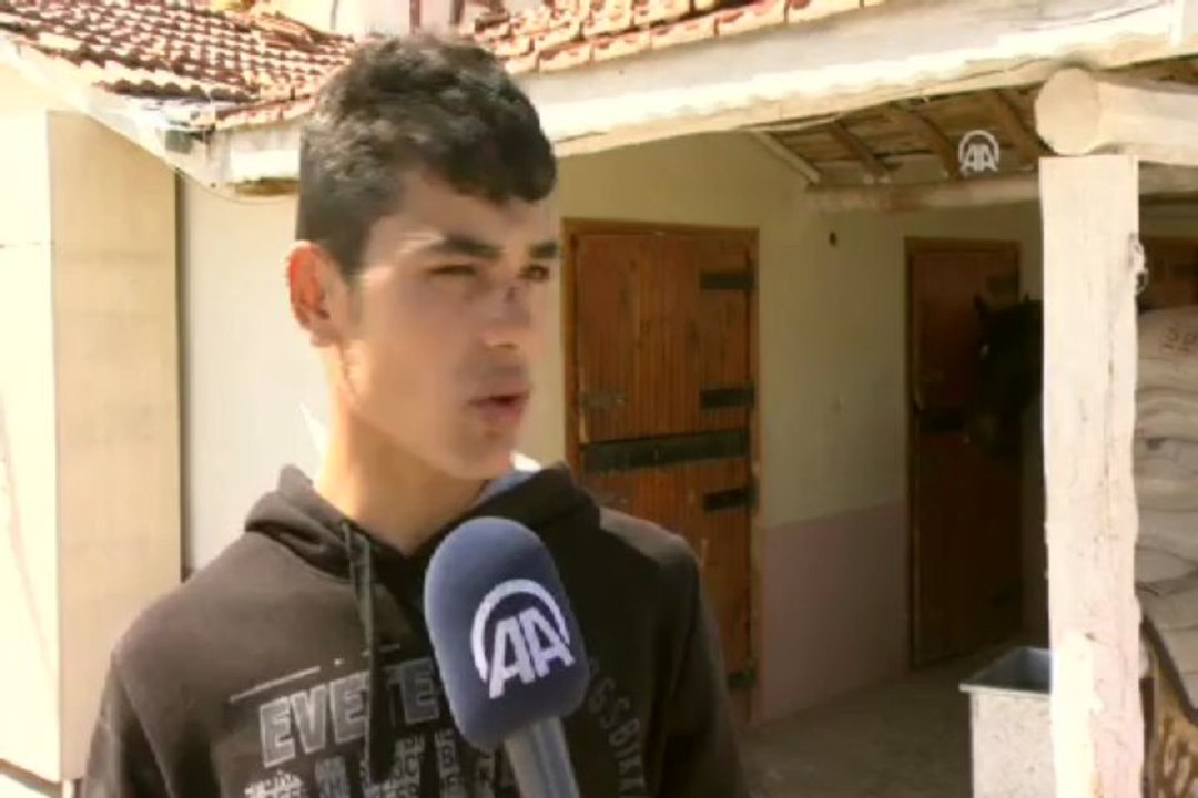 Bu at, ağzıyla kapısını açıyor