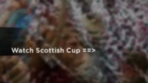 Watch - St Mirren v Heart of Midlothian - Scottish Communities League Cup - spl - Scottish Premier League 2013 highlights - gol tv