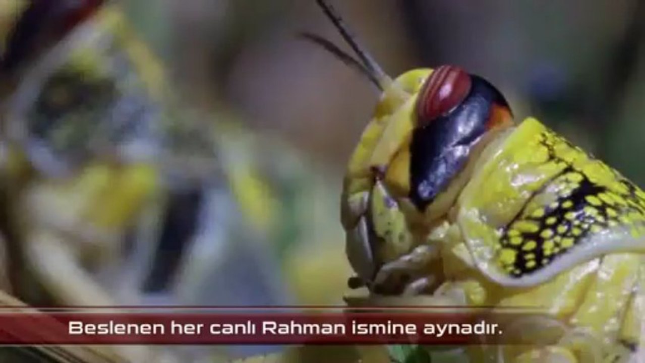Esma-ül Hüsna - 2 [Er-Rahman] | HD