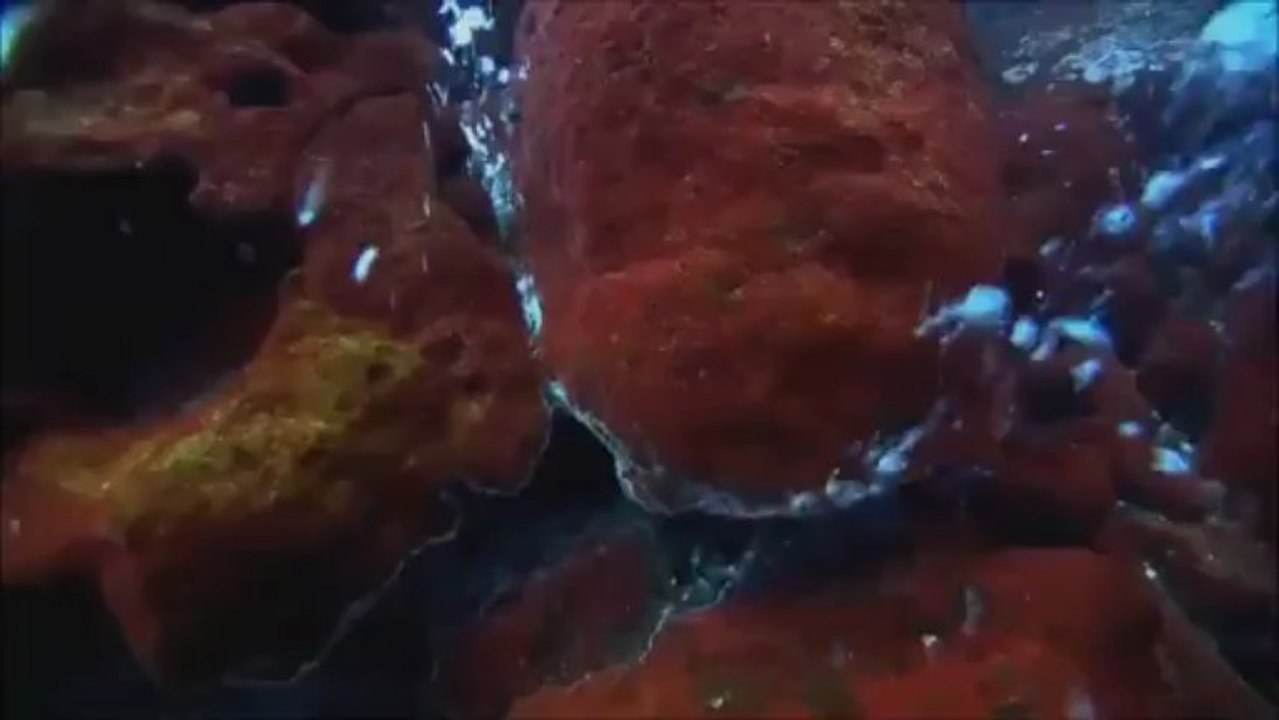 Vanity Flensburg Group Video II  Chillin Time