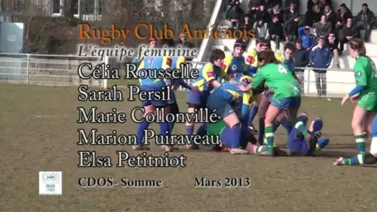 Video_rca_ok