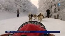 Euskal mushers et huskies