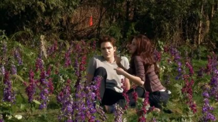 ДМ Рассвет ч2  ДВА В ОДНОМ/ TWO MOVIES AT ONES