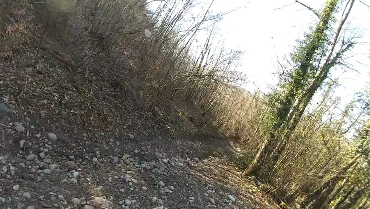 GOPR0009