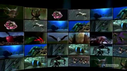 Esma-ül Hüsna - 6 [Es-Selam] | HD