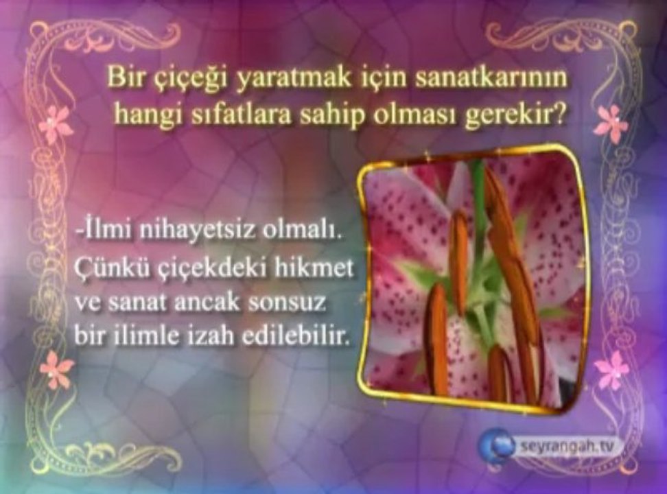 Allah'ın Esmaları 8. Es Selam isminin anlamı ve özellikleri okyay dernegi