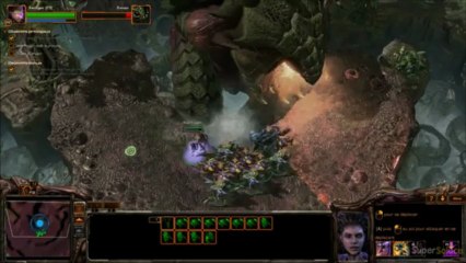 Starcraft 2 : Heart of the Swarm - Zurvan