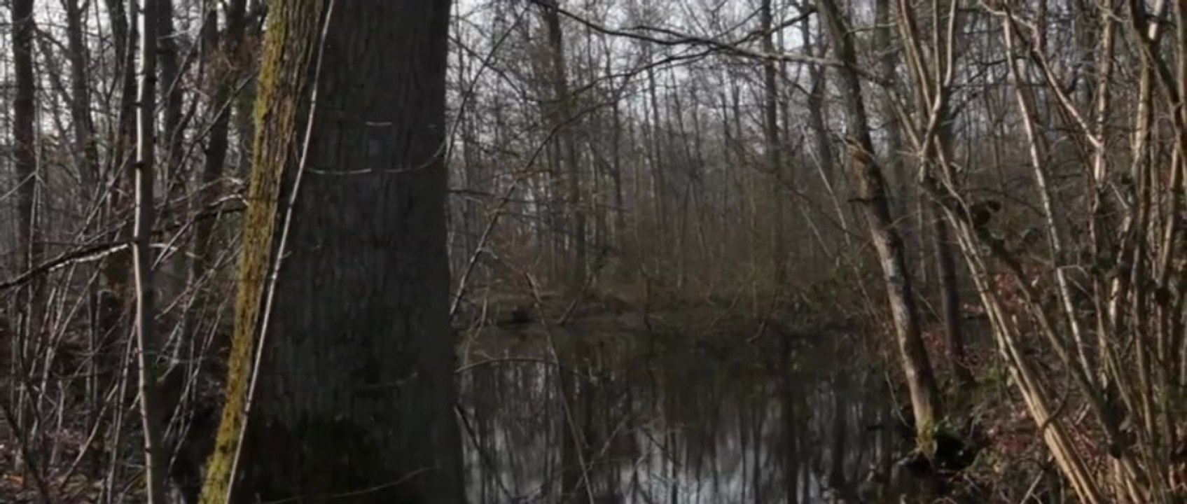 Festival ME 2013 — extrait K2