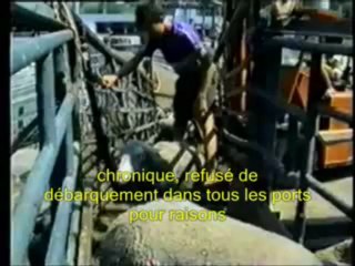 La Face cachée de l’Industrie de la Laine