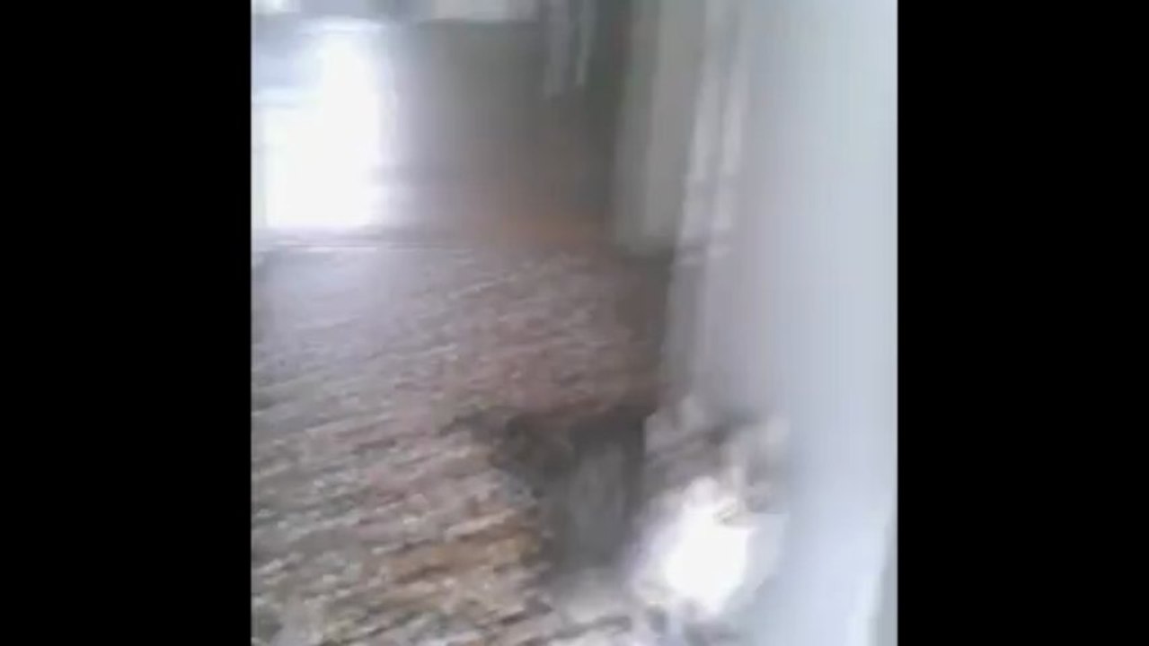 butter's fait son comédien