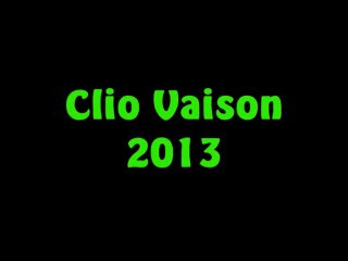 clio rallye de vaison 2013