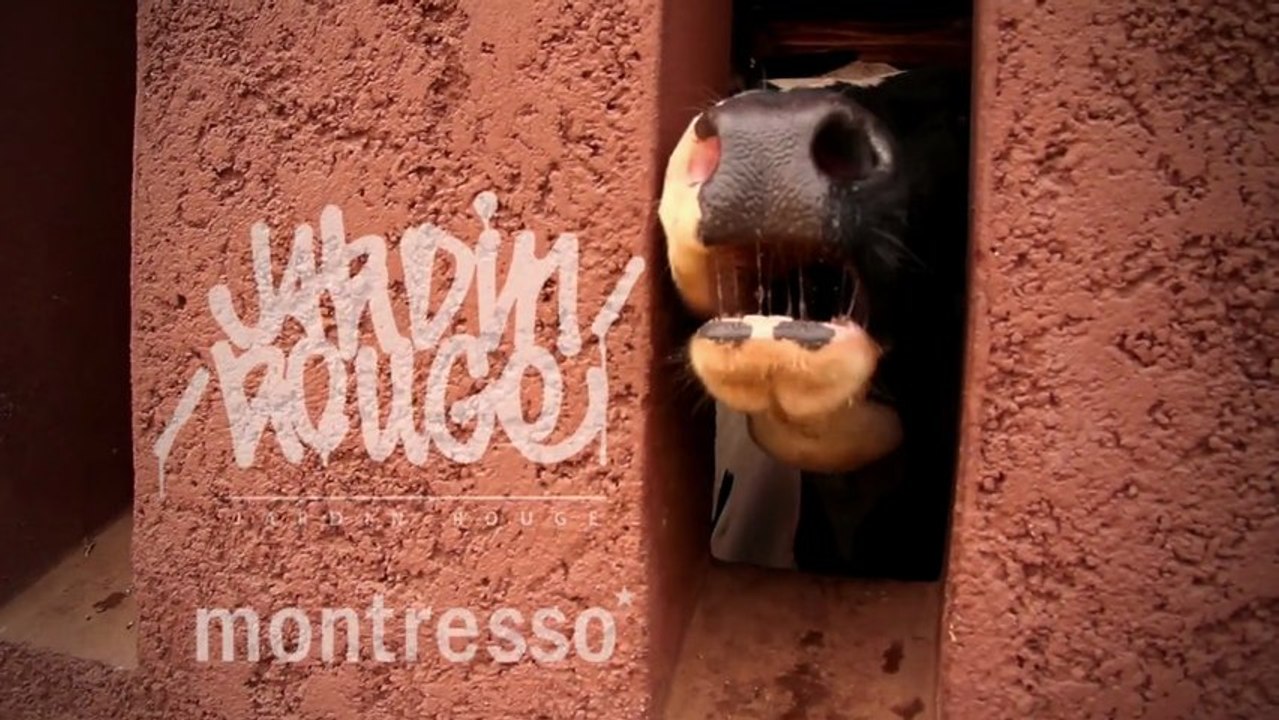 Zmogk Neok at Jardin Rouge