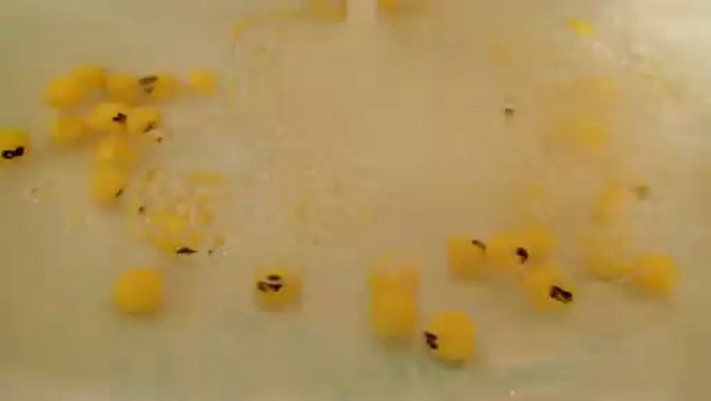 INVITATION / DES CARTONS PLEINS pour DES CARTONS VIDES