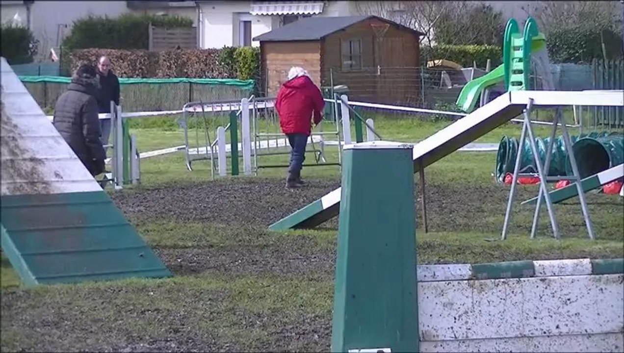 Ena Agility Villeveque 17.03.13