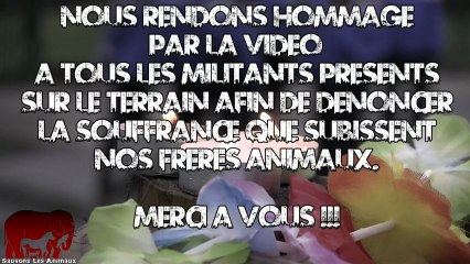 Présentation de Sauvons Les Animaux