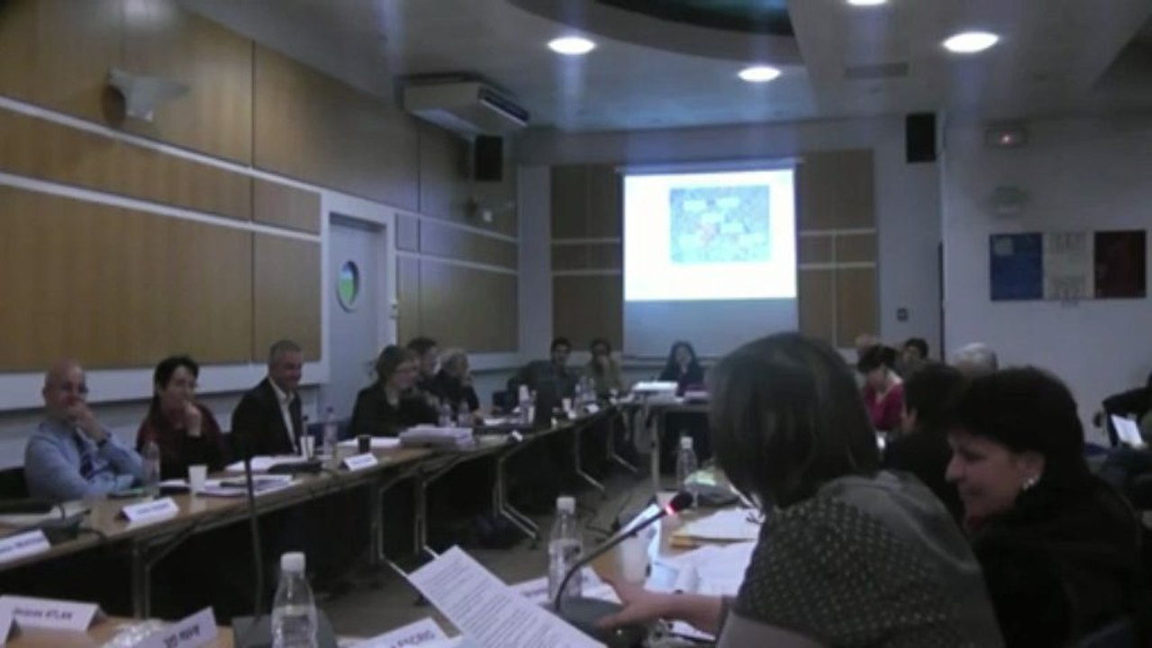 Plan de circulation, conseils de quartiers et morale - CM 12 03 2013