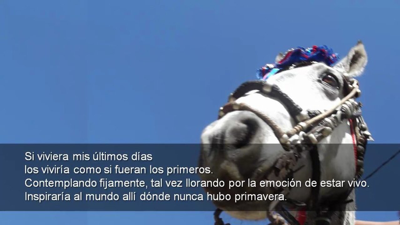 Carlos de la Rosa Vidal