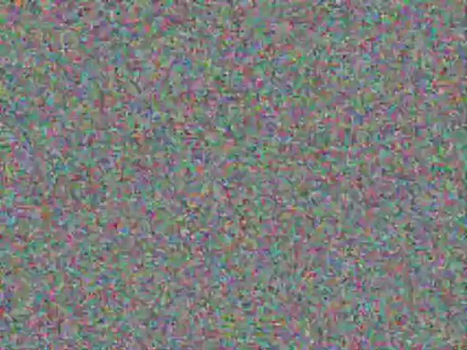 Website Designs and SEO Hamilton