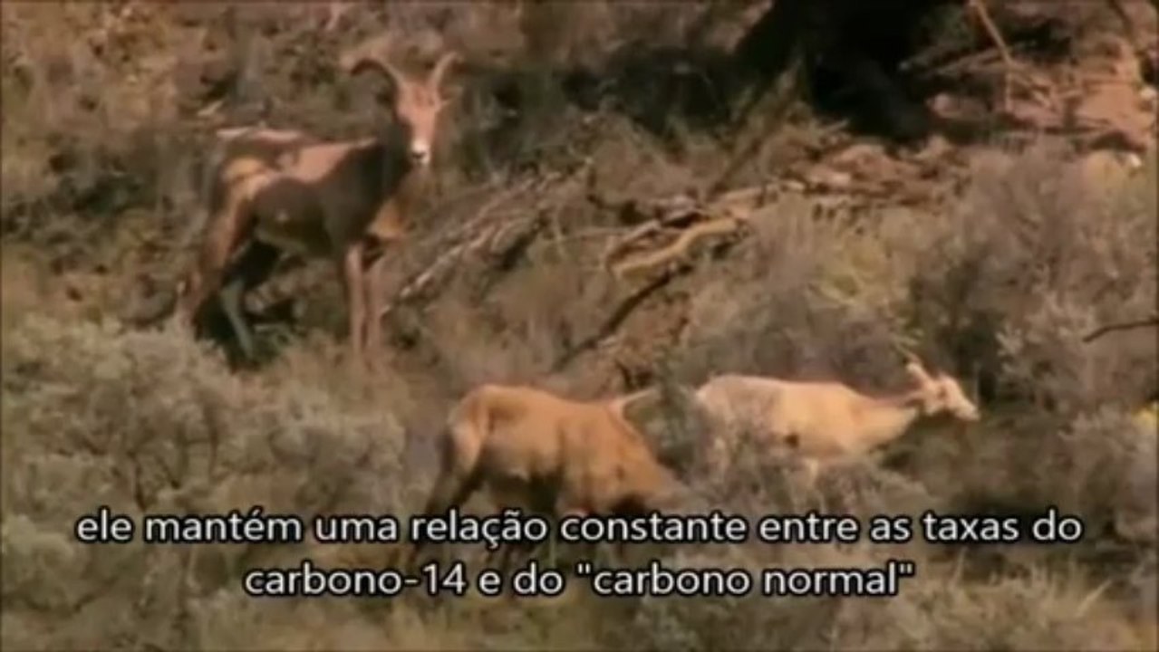 Carbono 14