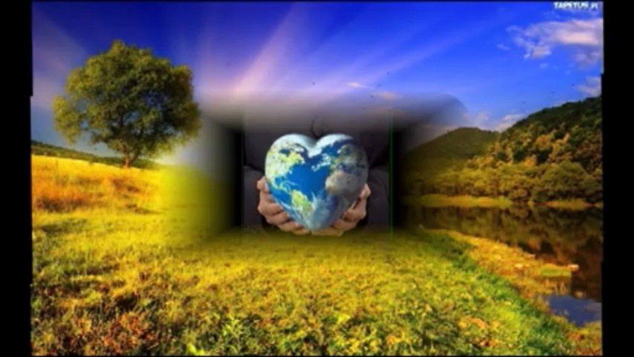 IRENA JAROCKA - GDY SERCE MÓWI MI