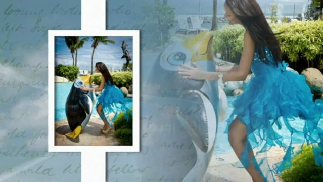 Fotografo de Quinceañeras en Puerto Rico