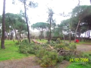 AGDE - 2008 - ARCHIVES 2008 - Massacre environnemental à La Tamarissière