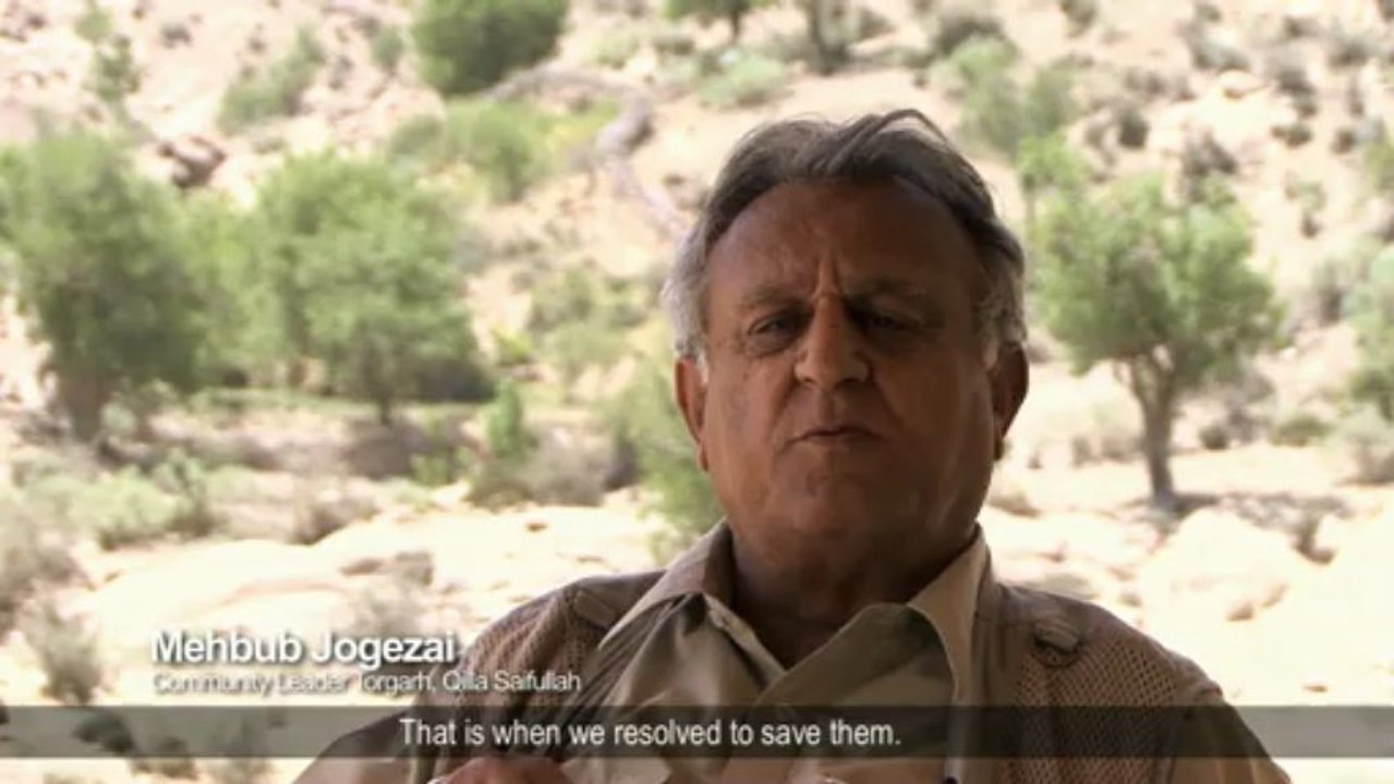 GEF Documentary