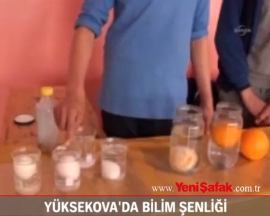 Yüksekova'da bilim şenliği