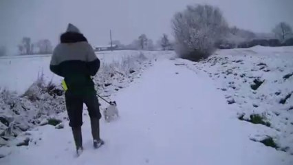 Promenade avec nos loulous
