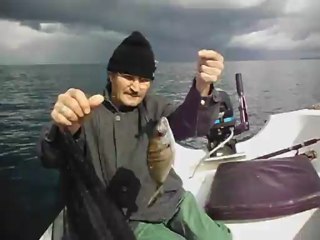 Sargoz avı Mordoğan