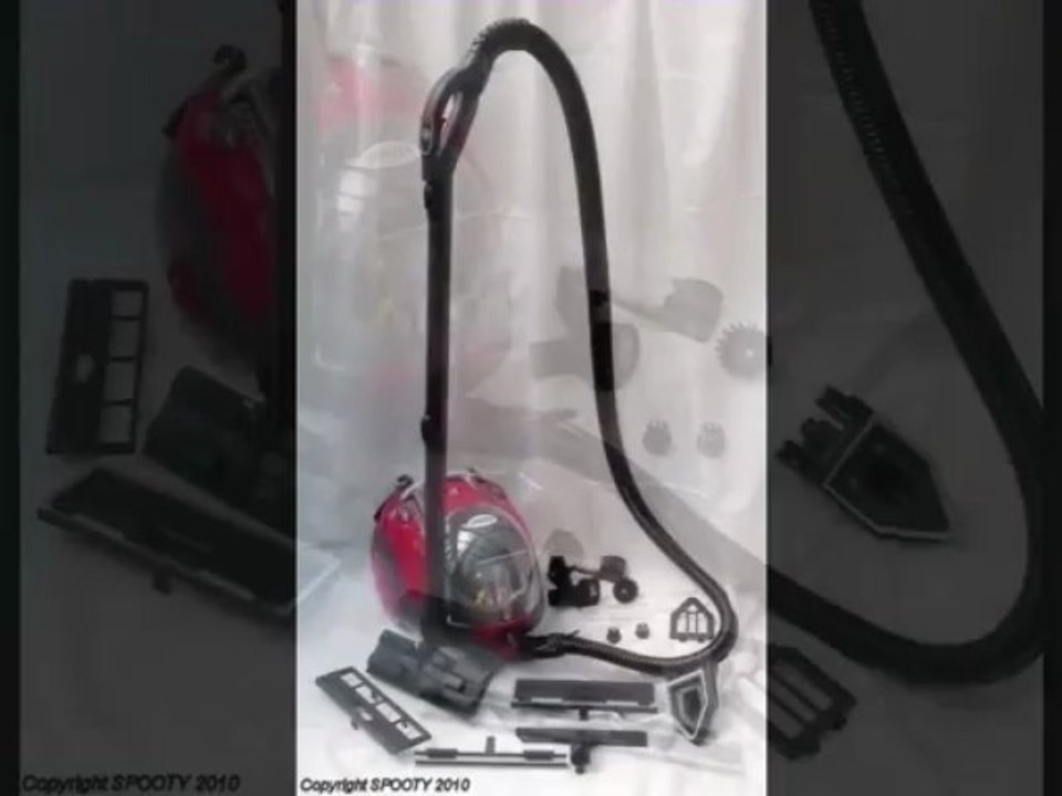 Brumisation des plantes d'intérieur avec l'aspirateur nettoyeur vapeur SPOOTY SW4