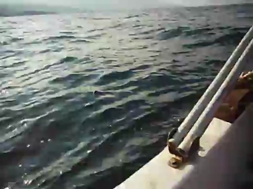 Mor video 5