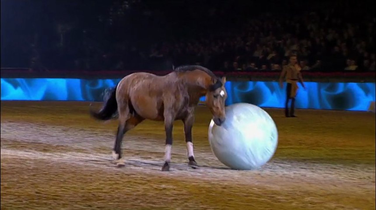 Frédéric Pignon & Magali Delgado - Nuit du Cheval 2012 - Zycopolis Productions
