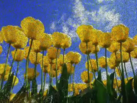 ODAM KİREÇTİR BENİM -Ney- Kaval