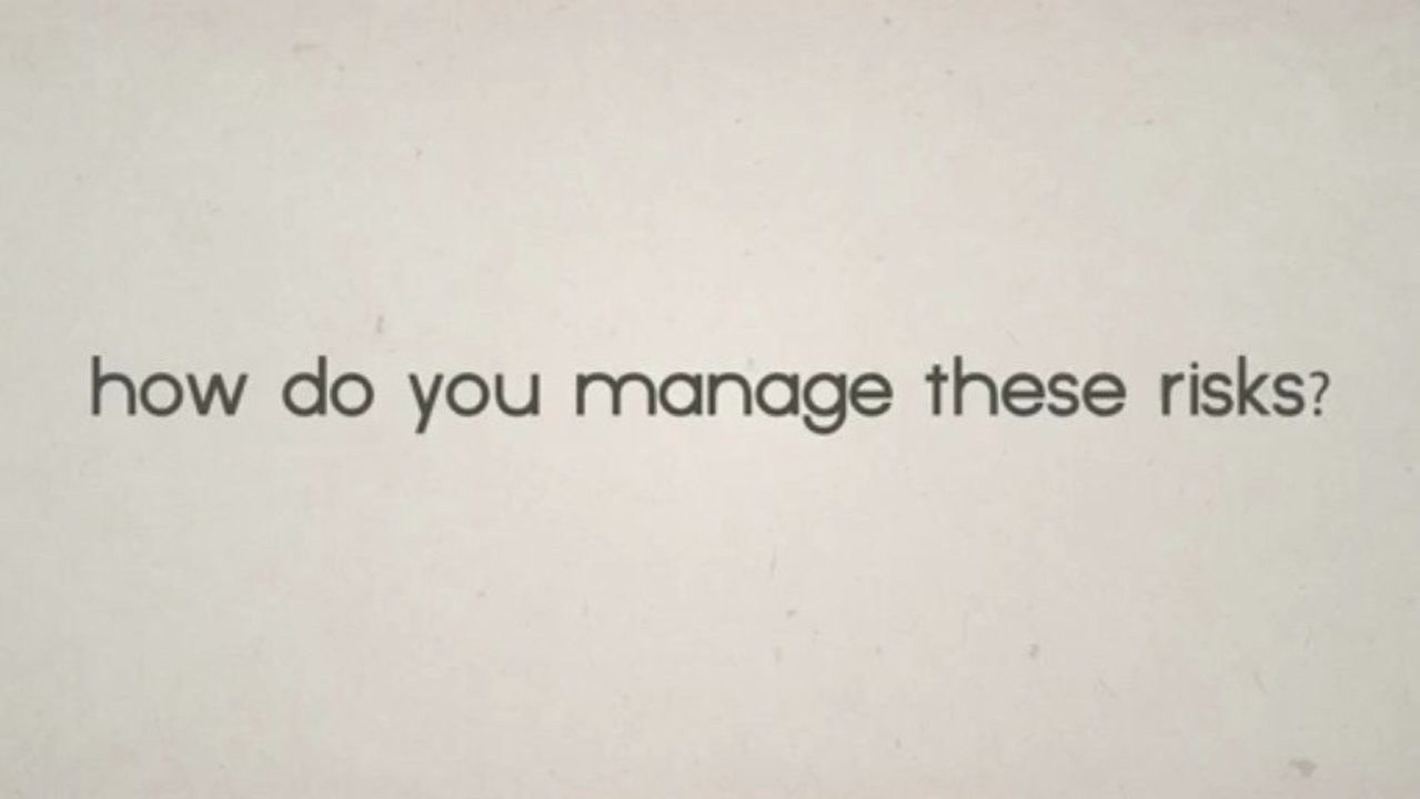 Vue-Matrix Project Risk Management & Analysis Software – An Overview