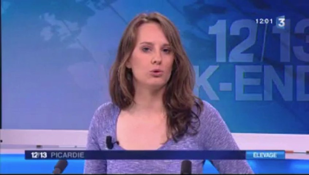 20130316-F3Pic-12-13-Drucat-La ferme des 1 000 vaches pose son permis de construire