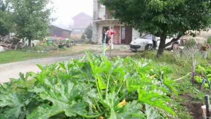 Martin Fourcade le Film 2012